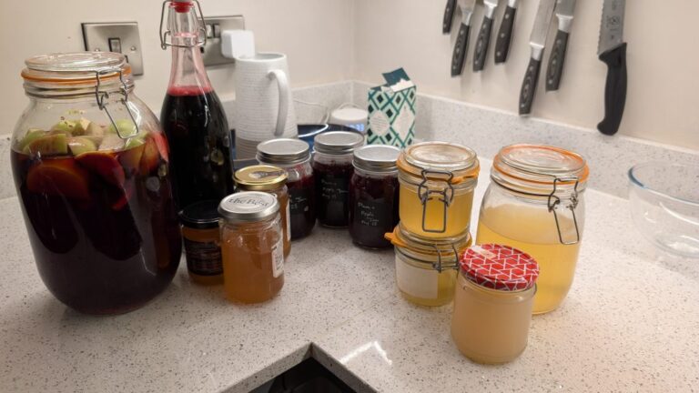 Building a Loyal Blog Audience: Strategies for Engagement and Growth